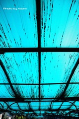 Shed Roof@PKU