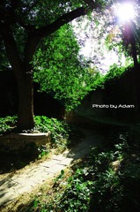 Garden@PKU