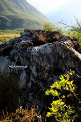 Rock@San Po