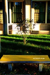 Tree@Library