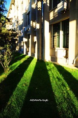 Shadow@Library