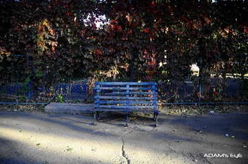 Bench@Playground