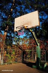 Basketball Stand@Playground