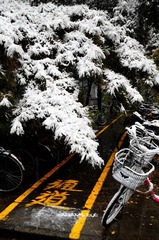 Snow & Bikes
