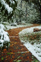 Road@PKU