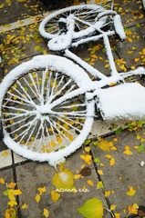 Bike@PKU