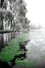 Lake@PKU