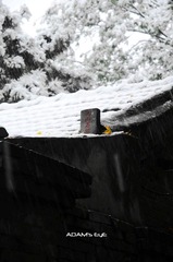 Roof@PKU