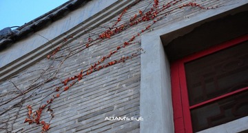 Leaf@PKU