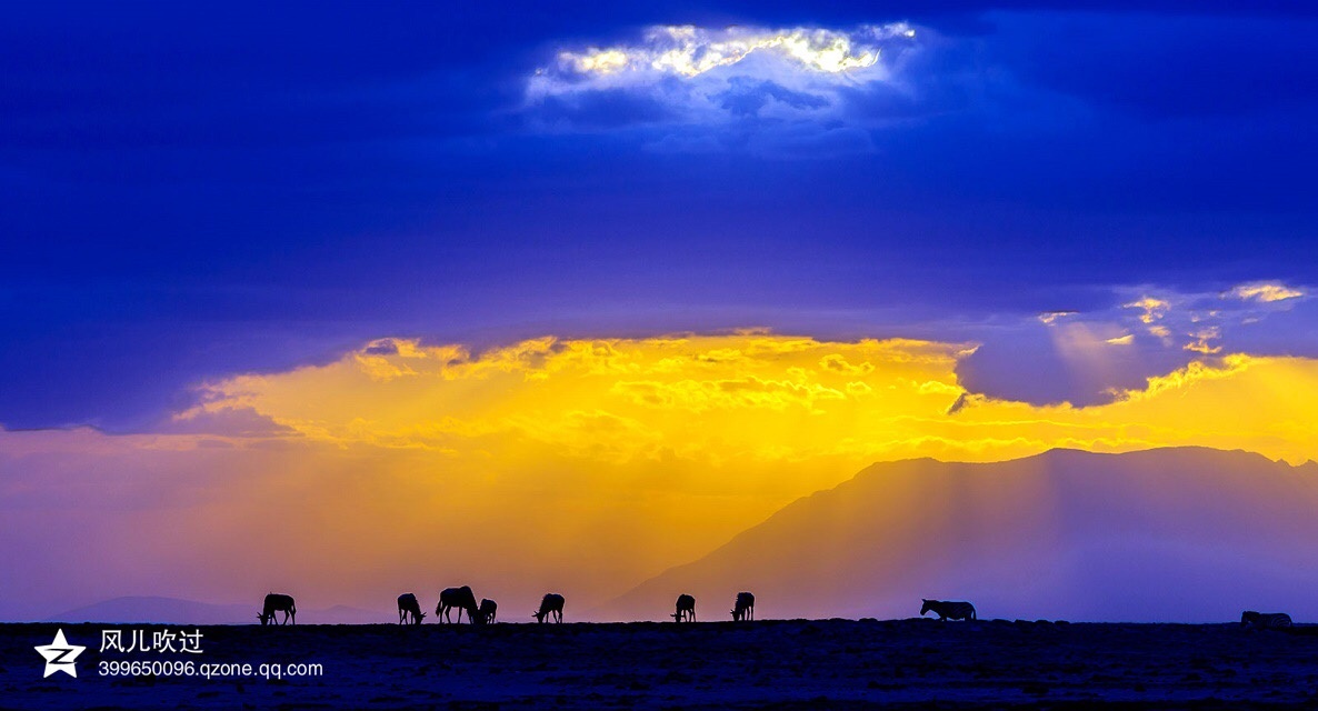 傍晚时分的非洲草原 - 风儿吹过 - 图虫网 - 优质摄影师交流社区
