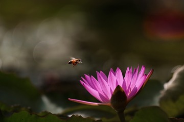 1B4ECD85-F75B-4325-AB7A-F4FBEE1DA07F/L0/001