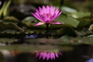 784F89C7-853C-48DB-9534-E3CA1D9AC76C/L0/001