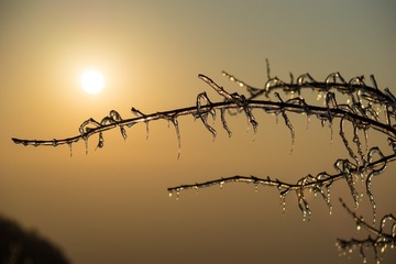 20170113-_DSC5287