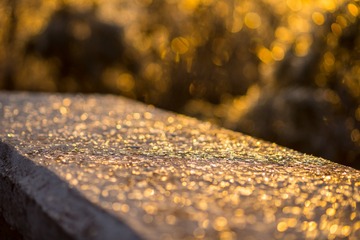 20170113-_DSC5292