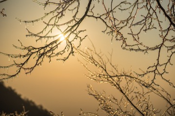20170113-_DSC5296