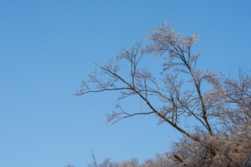 20170113-_DSC5309