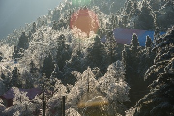 20170113-_DSC5337
