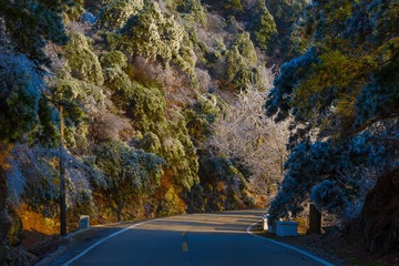 20170113-_DSC5370