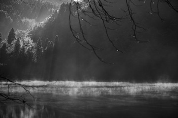 20170113-_DSC5399