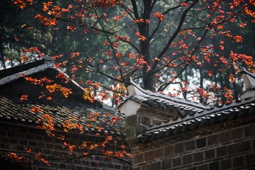 20161231-_DSC4900