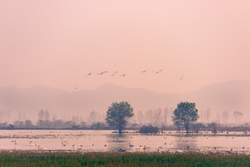 _DSC2225