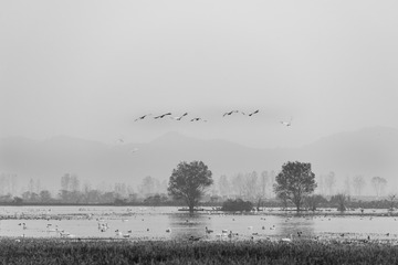 _DSC2225_1