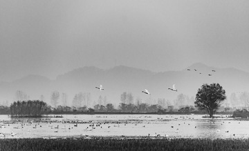 _DSC2353bw