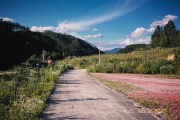1D9B1CB7-1EDF-4F36-A876-24CE6A126058/L0/001