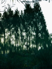 6125C6D3-7311-4872-AE56-412599DB07AB/L0/001