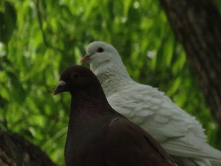 B9960C03-30B2-4475-AC8E-565C3B57B821/L0/001