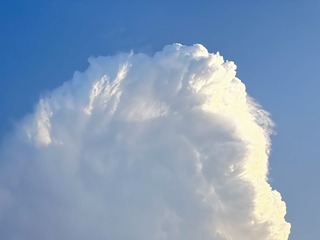 973245D0-7C17-49E4-AE18-38449F89689B/L0/001
