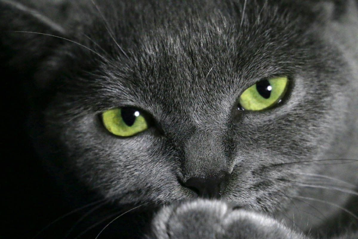 给你个眼神,自己体会