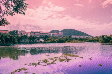 20161106-_DSC1776