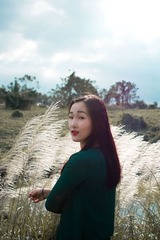 26