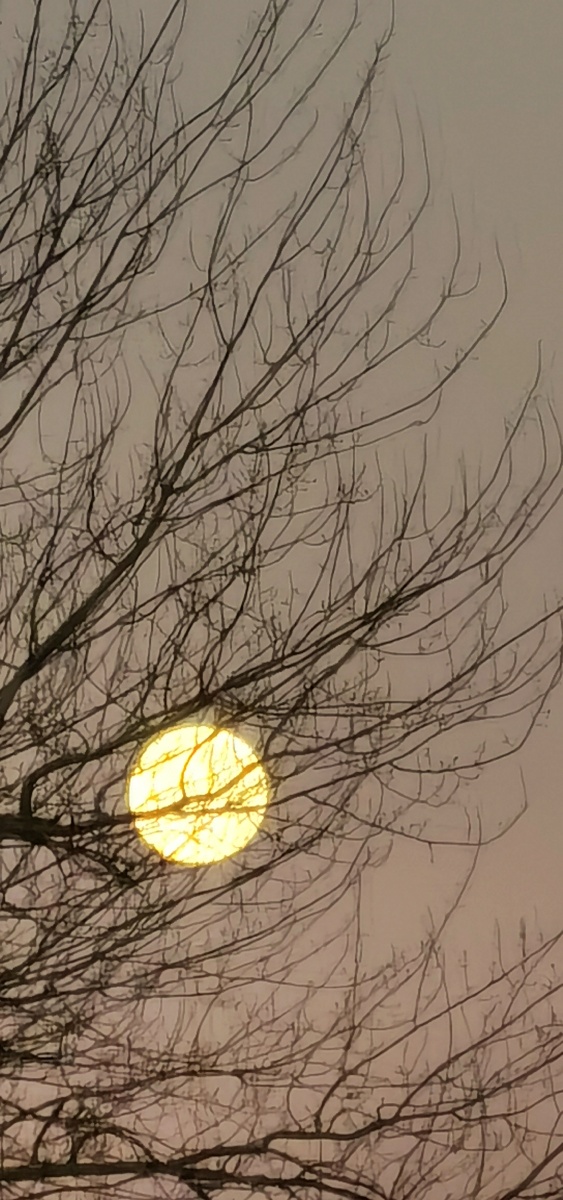 冬天早晨的月亮