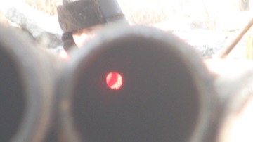 1258425