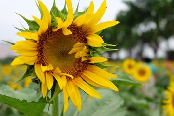 2016_0923_10224800