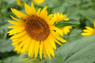 2016_0923_10473500