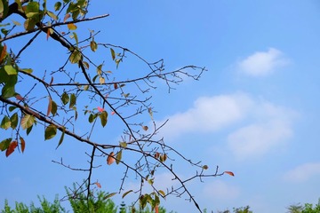 IMG_20161015_121823