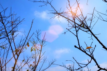 IMG_20161015_154635