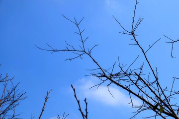 IMG_20161015_154316