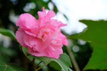 IMG_20161014_215740