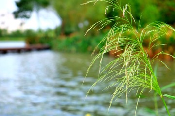IMG_20161016_220121