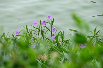 IMG_20161017_201509