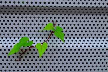 IMG_20161020_235301
