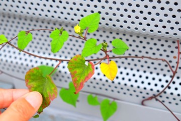 IMG_20161020_225254