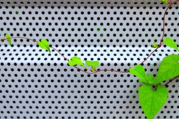 IMG_20161020_235439