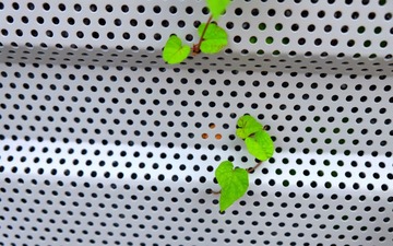 IMG_20161020_235403