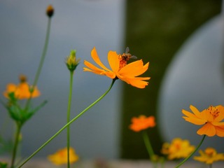 IMG_20161025_222047