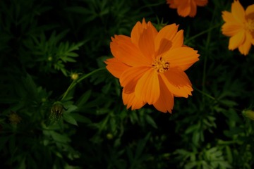 IMG_20161025_222558